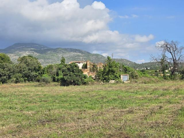 Terreno, Alcanar