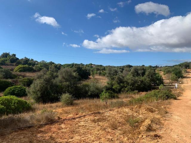Terreno, Alcantarilha