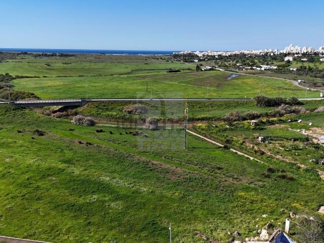 Terreno, Pêra