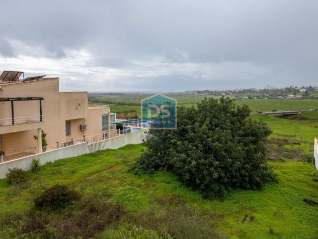 Terreno, Pêra