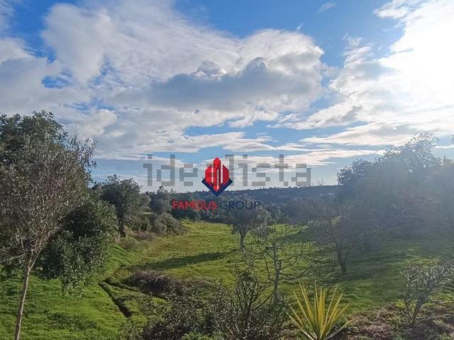 Terreno, Alcantarilha
