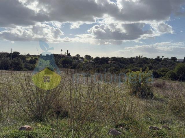 Terreno, Pêra