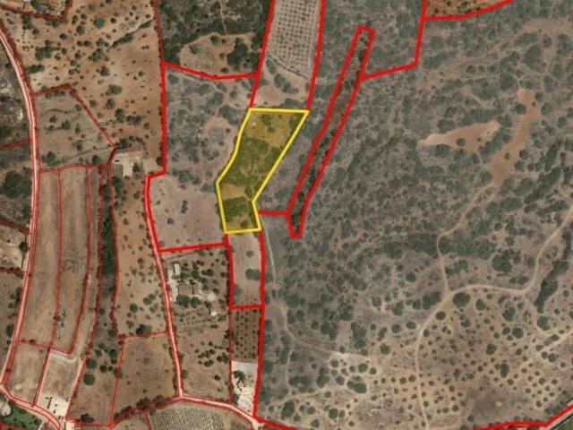 Terreno, Alcantarilha e Pêra, Silves | BPI Expresso Imobiliário