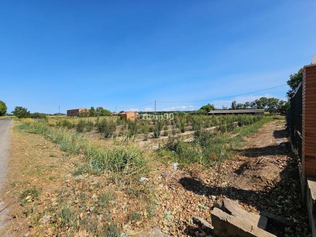 Terreno, Alcarrás