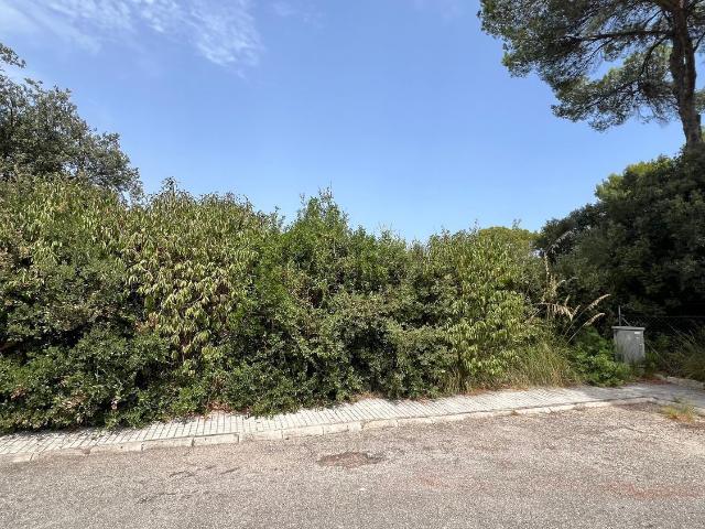 Terreno, Alcúdia
