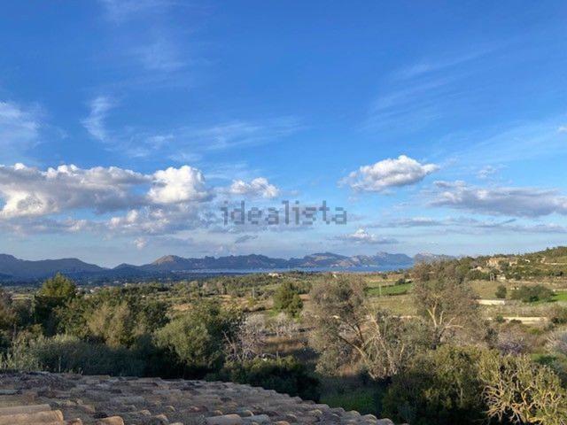 Terreno, Alcúdia