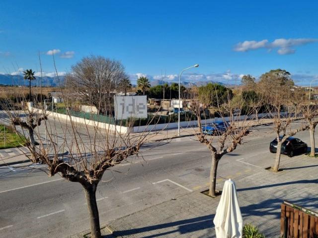Terreno, Alcúdia