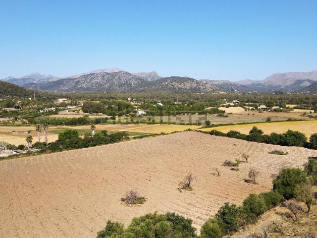 Terreno, Alcúdia