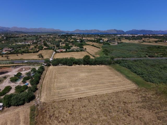 Terreno, Alcúdia