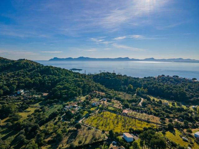Terreno, Alcúdia
