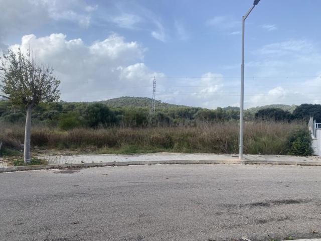 Terreno, Alcúdia