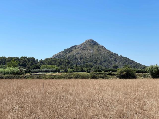 Terreno, Alcúdia