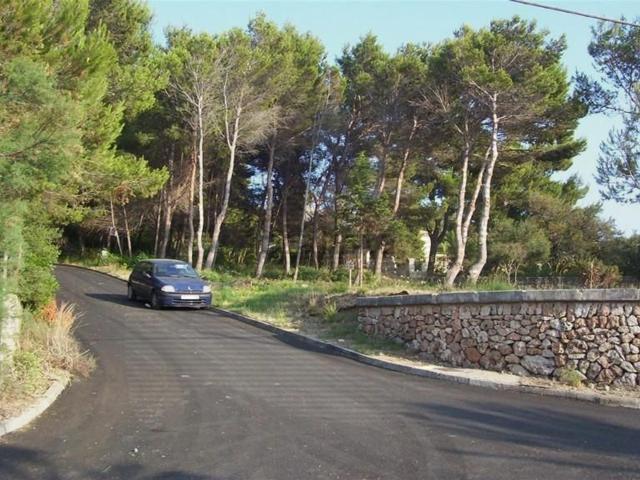 Terreno, Alcúdia
