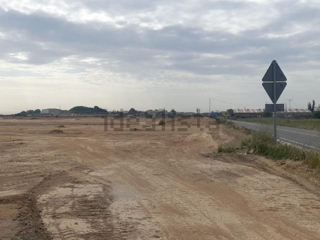Terreno, Alamus Els