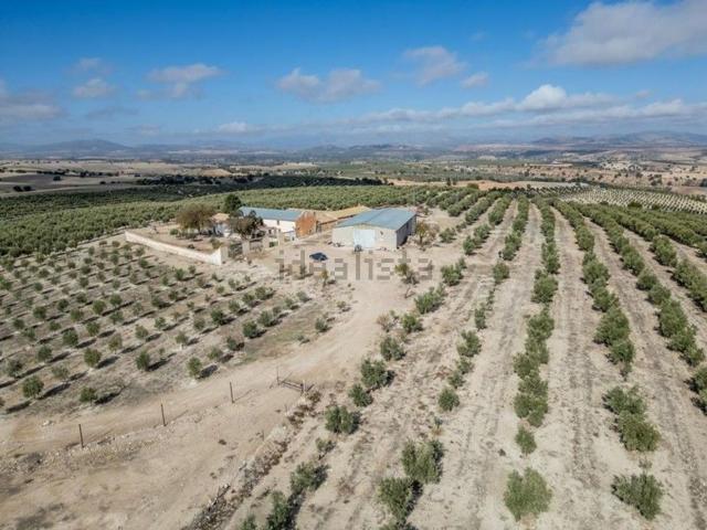 Terreno, Alamedilla