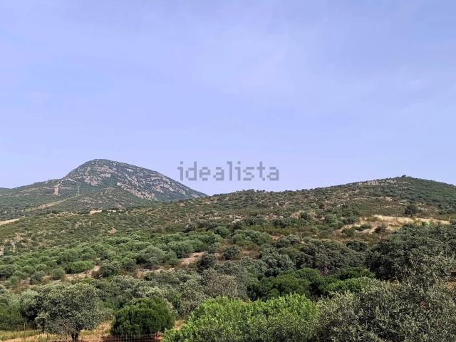 Terreno, Alamillo
