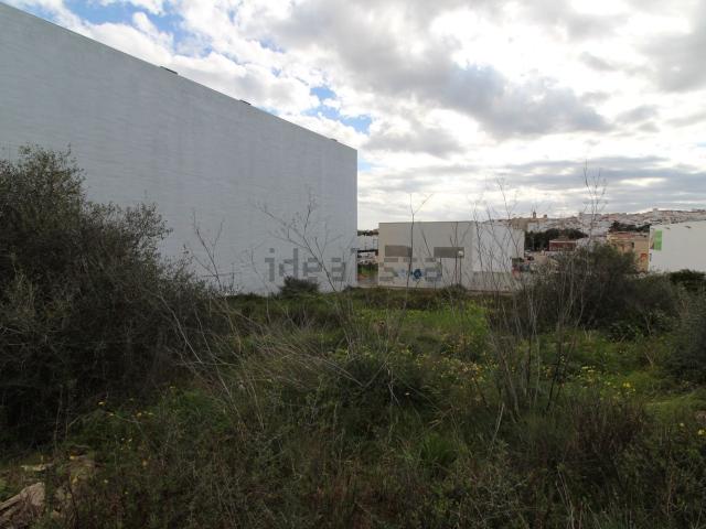 Terreno, Alaior