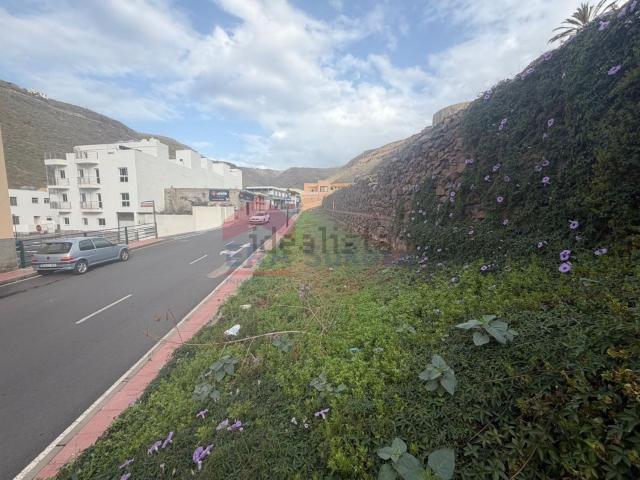 Terreno, Alajero