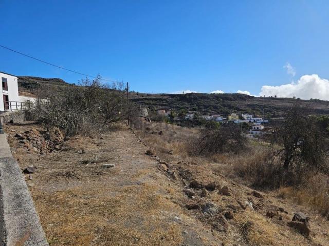 Terreno, Alajero