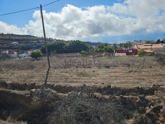 Terreno, Alajero