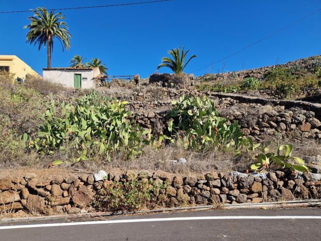 Terreno, Alajero