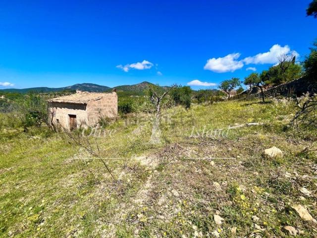 Terreno, Alaró