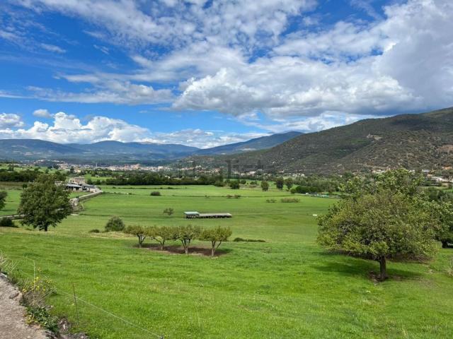 Terreno, Alás i Cerc