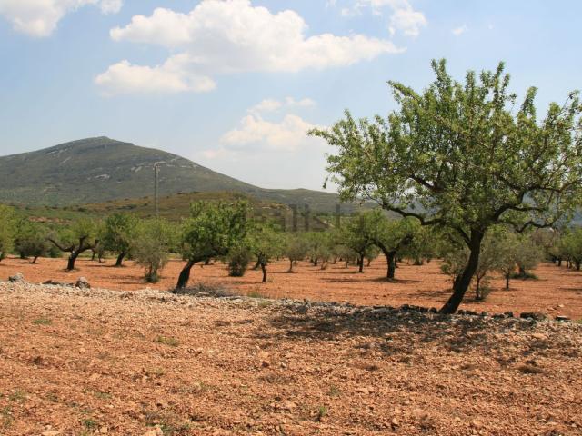 Terreno, Albocacer