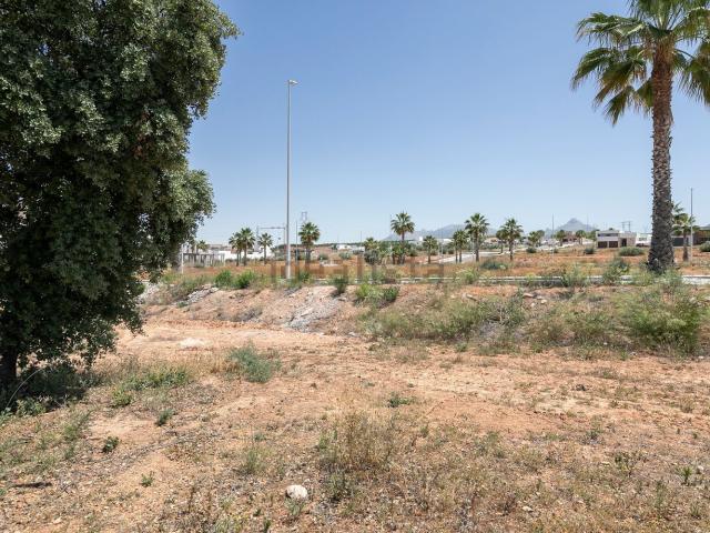 Terreno, Albolote