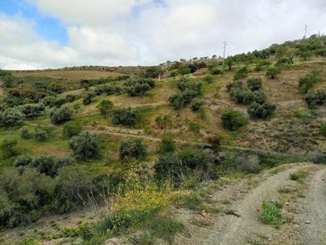 Terreno, Albondon