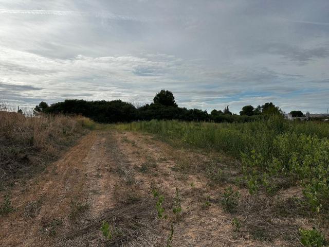 Terreno, Albatárrec