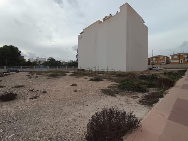 Terreno, Albatera