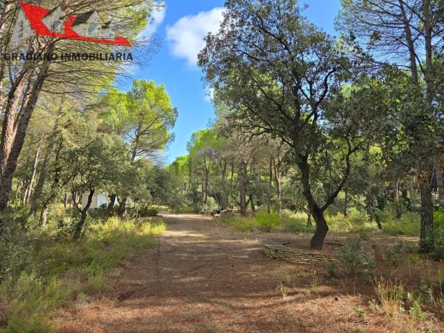 Terreno, Albacete