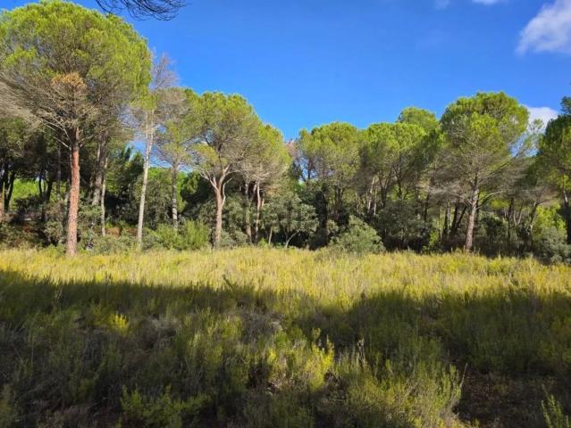 Terreno, Albacete