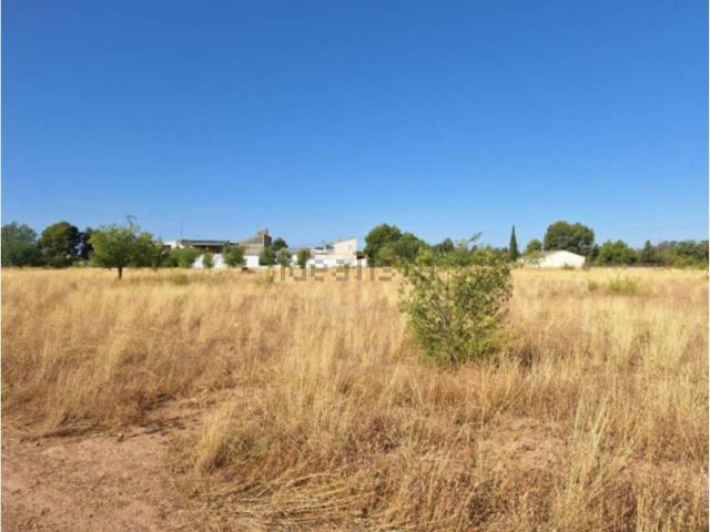 Terreno, Albacete