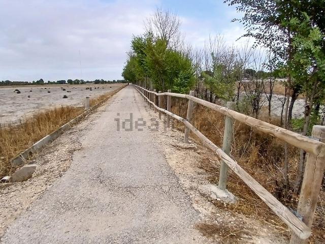 Terreno, Albacete
