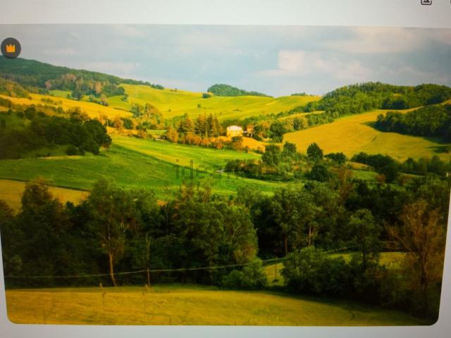Terreno, Albacete
