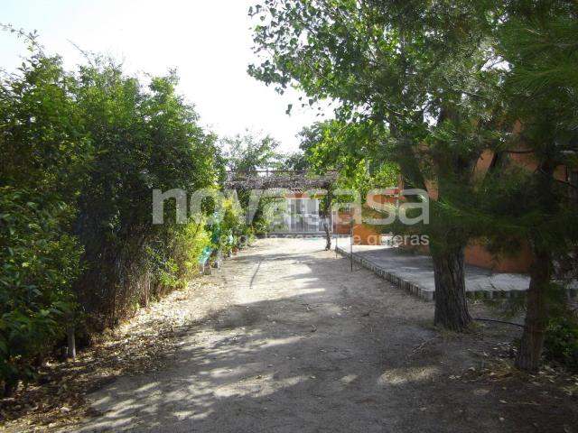 Terreno, Albacete
