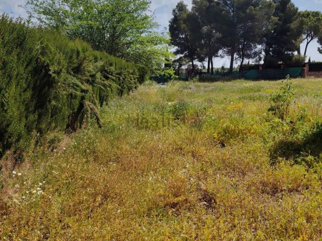 Terreno, Albacete
