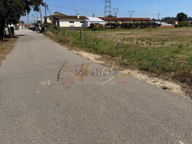 Terreno, Albergaria a Velha e Valmaior