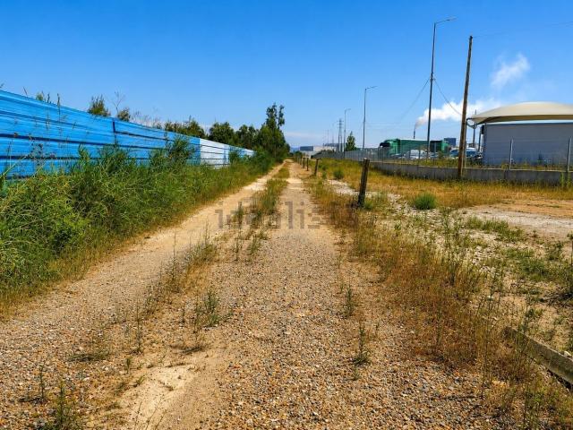 Terreno, Albergaria a Velha e Valmaior