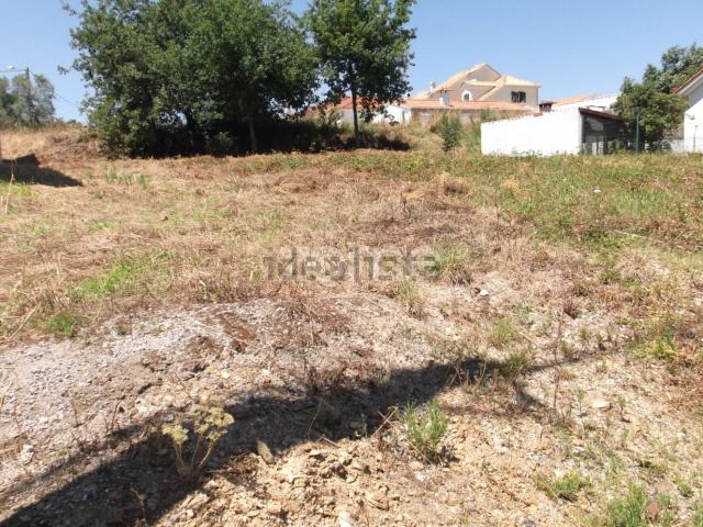 Terreno, Albergaria a Velha e Valmaior