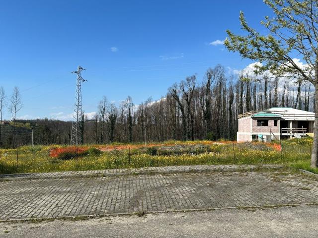 Terreno, Albergaria a Velha e Valmaior