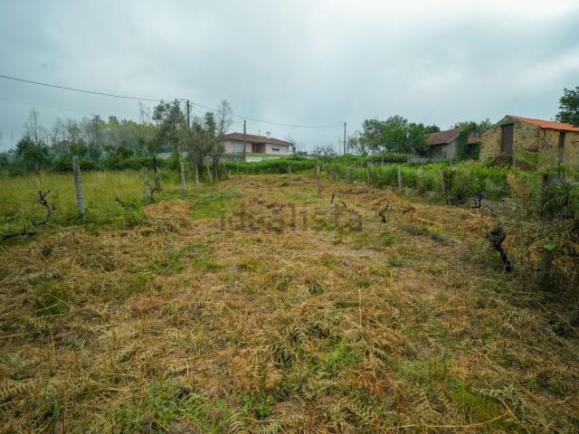 Terreno, Albergaria a Velha e Valmaior