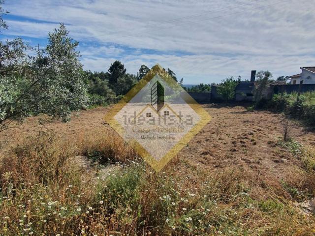 Terreno, Albergaria a Velha e Valmaior