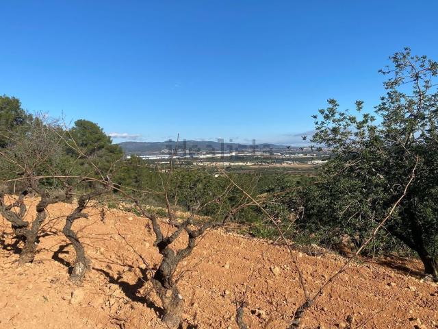 Terreno, Albinyana
