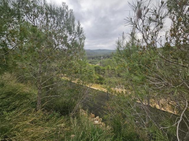 Terreno, Albinyana
