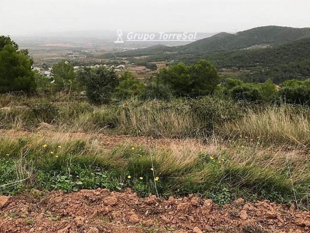 Terreno, Albinyana
