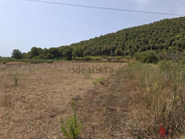 Terreno, Albinyana