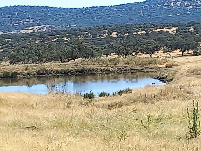 Terreno, Alburquerque